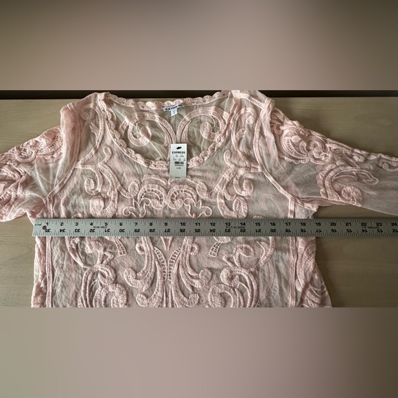 Express Blush Pink Embroidered Sheer Top / Size Large NWT - Picture 13 of 14